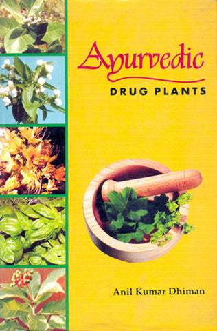 Ayurvedic Drug Plants