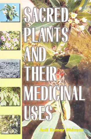 Sacred Plants and Their Medicinal Uses