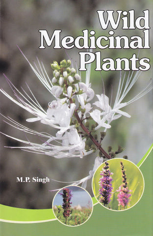 Wild Medicinal Plants